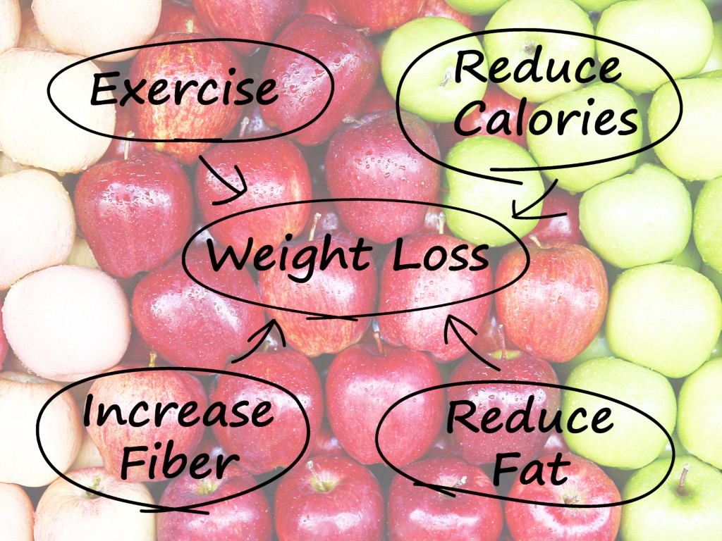 Weight Loss Diagram Shows Fiber Exercise Fat And Calories